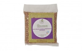 Adi Naturals Groundnut Seeds   Pack  500 grams